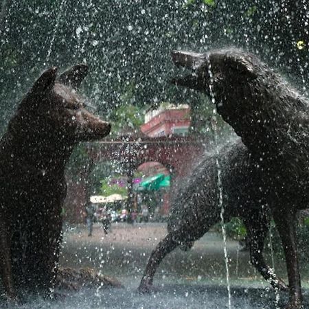 Casa Kalidy Coyoacan Ciudad de México Exterior foto