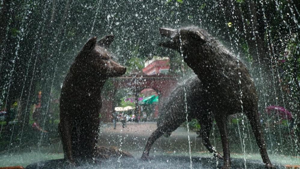Casa Kalidy Coyoacan Ciudad de México Exterior foto